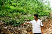 Thiếu nữ bị hiếp dâm tập thể lúc nửa đêm