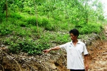 Thiếu nữ bị hiếp dâm tập thể lúc nửa đêm