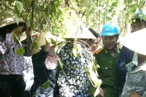 Vụ chôn thuốc trừ sâu: Đã có kết luận ban đầu