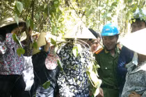 Vụ chôn thuốc trừ sâu: Đã có kết luận ban đầu