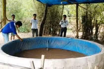 Phá trường gà “khủng ở Thanh Hóa, thu 9 ô tô