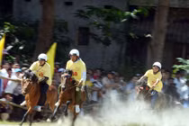 Cho phép cá cược tối đa 1 triệu đồng/ngày