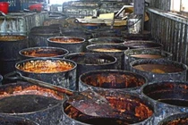 Chi tiết công ty Đài Loan tiêu thụ dầu ăn nước cống ở VN