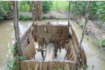 Trẻ Việt Nam thấp còi là vì... nhà tiêu bẩn