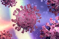 Vì sao bệnh nhân viêm cầu thận nhiễm virus hay tái phát và nặng lên