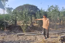 Huyện Bình Chánh nói xử lý hình sự chủ chòi nuôi vịt đúng luật