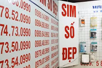 Sim “siêu đẹp” 9 con 8 sẽ được đấu giá