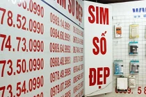 Sim “siêu đẹp” 9 con 8 sẽ được đấu giá