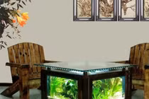 Vị trí đặt bể cá trong nhà cầu may mắn và rước tài lộc