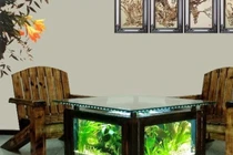 Vị trí đặt bể cá trong nhà cầu may mắn và rước tài lộc