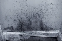 Nhà văn nổi tiếng lộ tội ác giết vợ vì vết máu trên quần