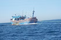 Cứu nạn thành công 8 ngư dân tàu cá Bình Định