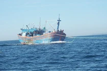 Cứu nạn thành công 8 ngư dân tàu cá Bình Định