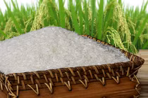 Mua gạo hữu cơ ở đâu, loại nào có chứng nhận đảm bảo?