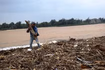 Đánh cược tính mạng để vớt củi sau lũ ở cửa biển Nhật Lệ