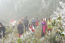 Bắc Bộ tiếp tục rét đậm rét hại