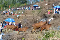 Chùm ảnh: 2.000 người diễn tập ứng phó sóng thần ở VN