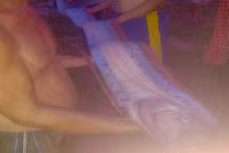 Cá hố “khủng” dài gần 3m chết trôi vào bờ biển Bình Thuận