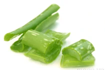 Nha đam - "thần dược" người tiểu đường ai cũng nên dùng