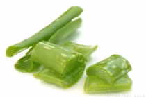 Nha đam - "thần dược" người tiểu đường ai cũng nên dùng