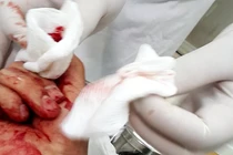 Nhà báo Đỗ Doãn Hoàng bị trả thù