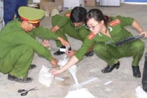 Phát hiện chất bột màu trắng tại trang trại nuôi 3.000 con heo