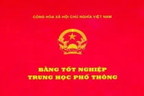 Trưởng ban tổ chức thành ủy bị hủy bằng cấp 3 xin từ chức