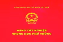 Trưởng ban tổ chức thành ủy bị hủy bằng cấp 3 xin từ chức