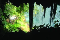 Những bức ảnh do trẻ em chụp đẹp đến không ngờ