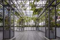 Chiêm ngưỡng công trình Việt đạt giải kiến trúc danh giá