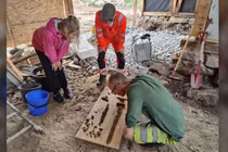 Khai quật vũ khí của chiến binh cổ đại trong sân nhà ở Na Uy