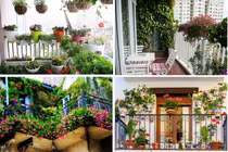 Trồng hoa ban công hút tài lộc vào nhà, gia chủ lúc nào cũng hòa thuận êm ấm