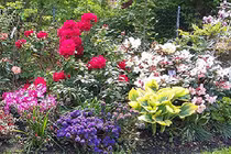 "Lạc trôi" giữa khu vườn cổ tích rộng 500m2 của mẹ Việt ở Đức