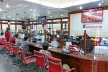 Đầu tư khủng, hàng loạt công ty con của Agribank vẫn thua lỗ
