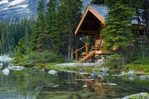 Mê mẩn nhà nhỏ xinh trong rừng đẹp như tranh vẽ