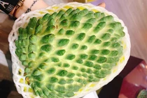 Na dai khổng lồ vị sầu riêng nửa triệu đồng/kg có gì mà dân tình lùng mua?