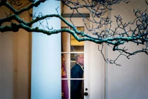 Ông Trump hé lộ kế hoạch nhận thua, tái tranh cử