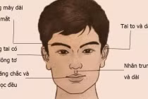 Đàn ông 3 thứ này càng thẳng càng vượng tướng giàu có