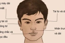 Đàn ông 3 thứ này càng thẳng càng vượng tướng giàu có