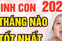 Sinh con năm Nhâm Dần 2022 tháng nào vượng nhất, tương lai trẻ làm quan? 