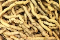 Quý ông Hà Nội cương dương 30 giờ: Rượu ba kích rẻ đến đắt