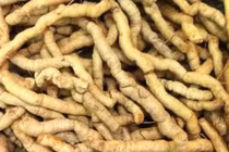 Quý ông Hà Nội cương dương 30 giờ: Rượu ba kích rẻ đến đắt