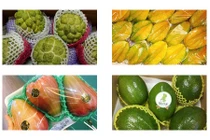 5 loại quả “siêu to khổng lồ” đổ bộ thị trường người Việt ráo riết săn lùng