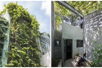 Mỏi mắt ngắm nhà Sài Gòn phủ kín cây xanh 