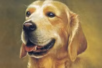 Tháng 2/2022: 3 con giáp vượng vận quý nhân, cung tài lộc rộng mở vô cùng giàu có