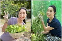 Khám phá vườn rau xanh mướt trong biệt thự của NSND Trịnh Kim Chi
