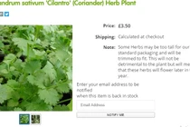 Giật mình số tiền "khủng" người Việt ở nước ngoài tốn để có bữa cơm Việt