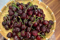 Cherry nhập khẩu “rẻ chưa từng thấy”, chị em thi nhau mua