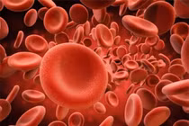 Tại sao muỗi đốt người này nhưng lại bỏ qua người khác?