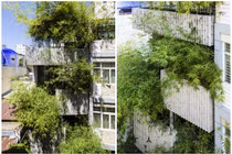 Ngôi nhà tre xanh mướt giữa lòng TP HCM khiến báo Mỹ “ngẩn ngơ“